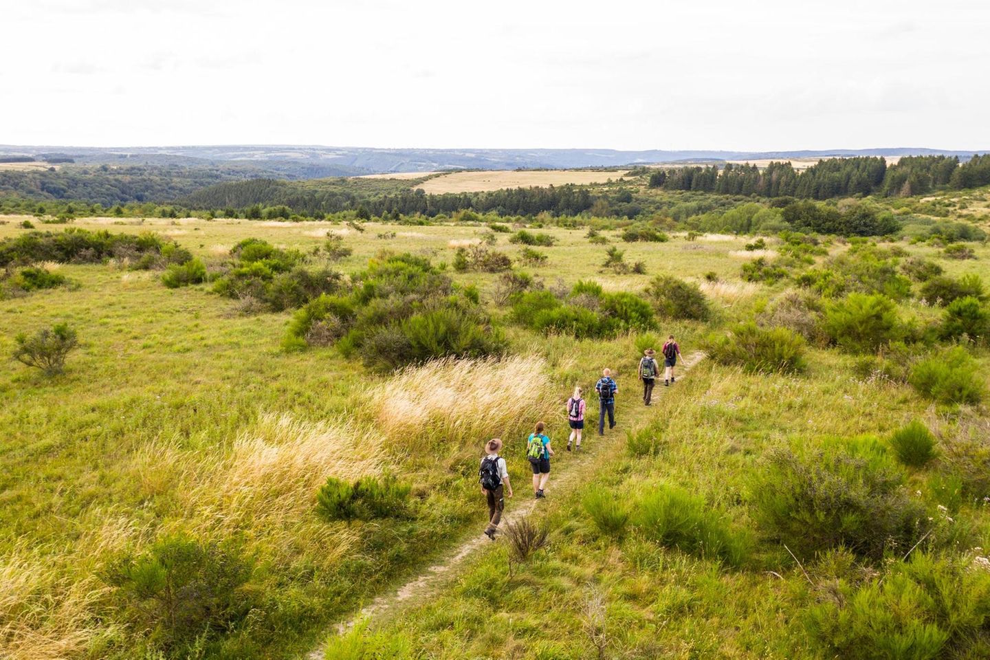 Rangertour mit Wandergruppe auf der Dreiborner Hochflaeche