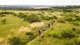 Rangertour mit Wandergruppe auf der Dreiborner Hochflaeche
