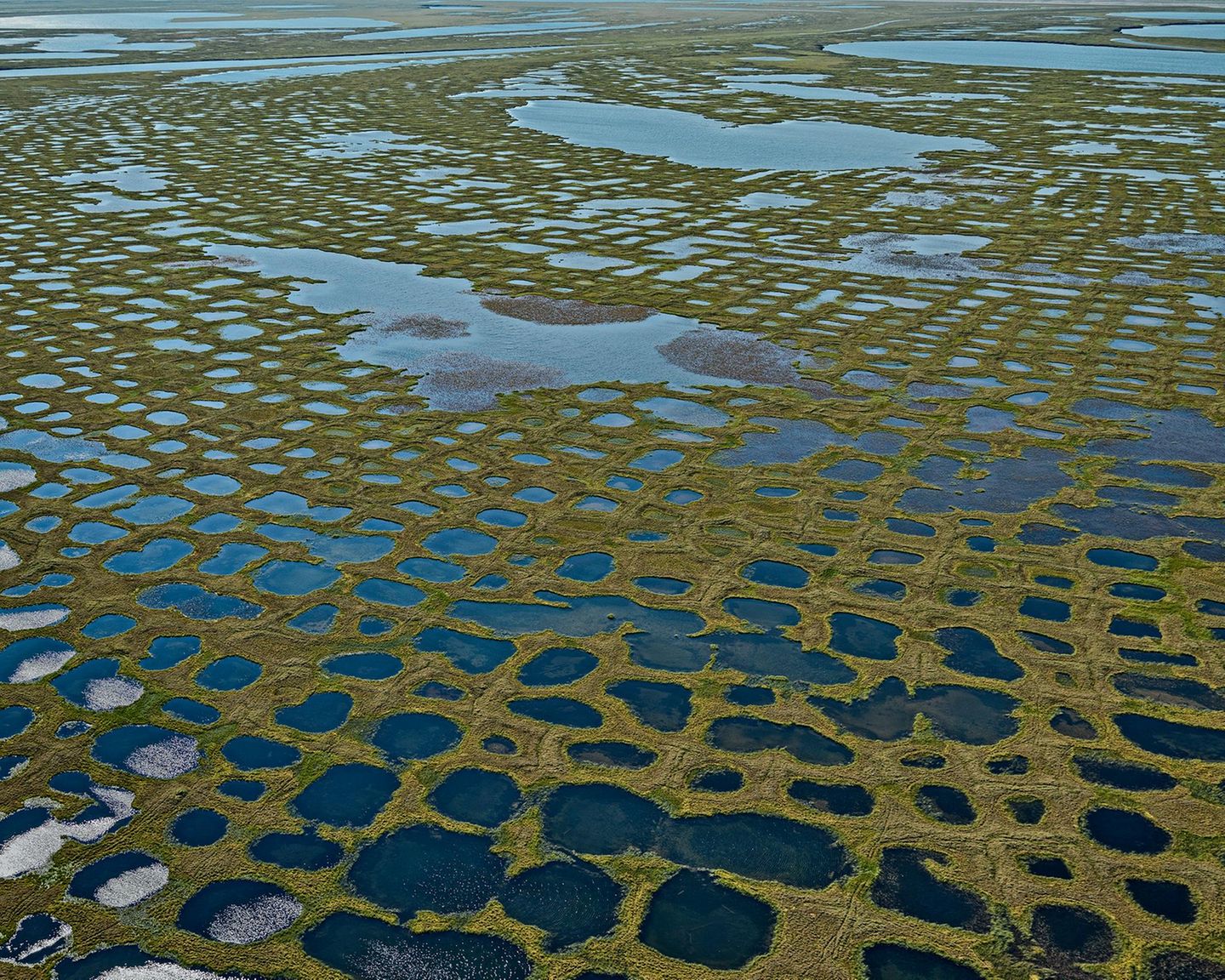 Wenn das Lenadelta von einem feingliedrigen grünen Raster überzogen wird, in dem sich Seen aus Schmelzwasser bilden, dann ist es offensichtlich: Der Permafrost schmilzt, auch in Nordosten Sibiriens. In den kurzen arktischen Sommern tauen die Permafrostböden der Arktis immer weiter auf – mit verheerenden Folgen: Zuvor jahrhundertelang eingefrorene Tier- und Pflanzenreste werden von Mikroorganismen zersetzt, die dabei Kohlendioxid und das noch klimaschädlichere Methan freisetzen. So heizt das Tauwetter die Erderwärmung an, die dann in Sibirien vor allem für eines sorgt: noch mehr tauenden Permafrost. Der feuert den Klimawandel zusätzlich durch den Albedo-Effekt an: Dunkle Oberflächen wie Pflanzen und Wasser reflektieren weniger Sonnenstrahlen in die Atmosphäre als helle Oberflächen aus Schnee und Eis es tun. 