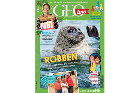 Cover GEOlino 13/2025: Robben