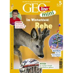 GEOlino Mini 13/2025: Rehe