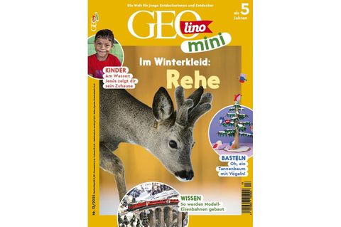 GEOlino Mini 13/2025: Rehe