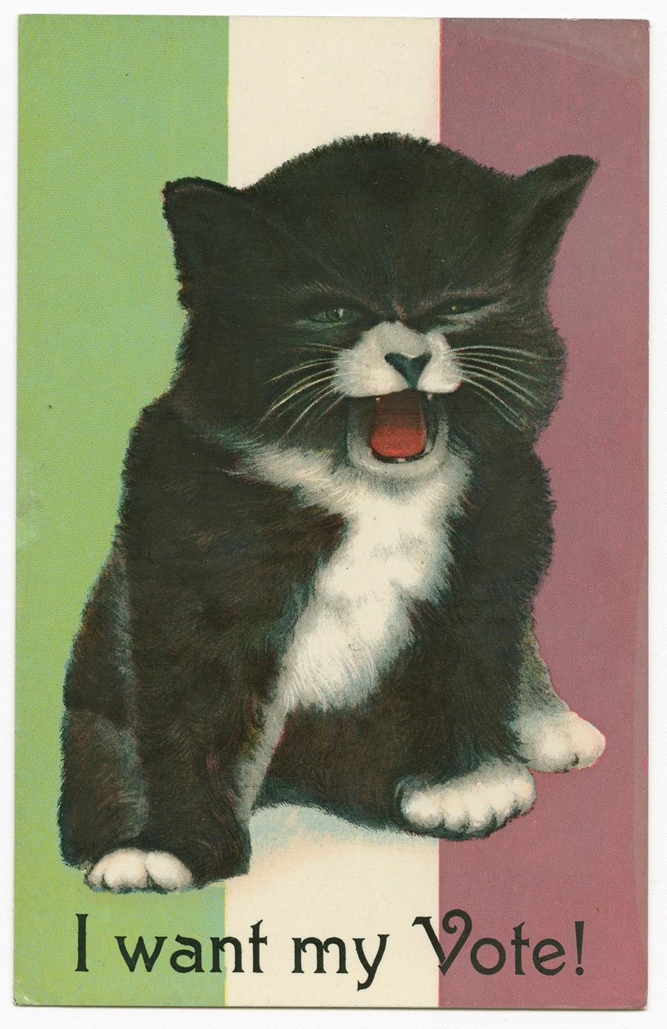 Postkarte »I want my Vote!«