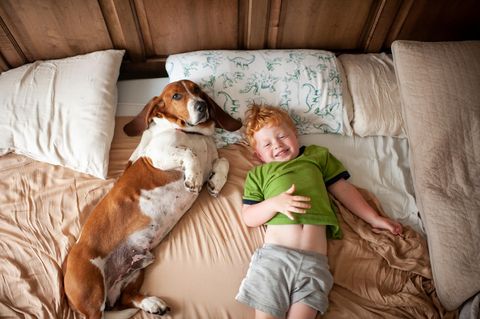 Kleiner Junge mit roten Haaren und Hund im Bett