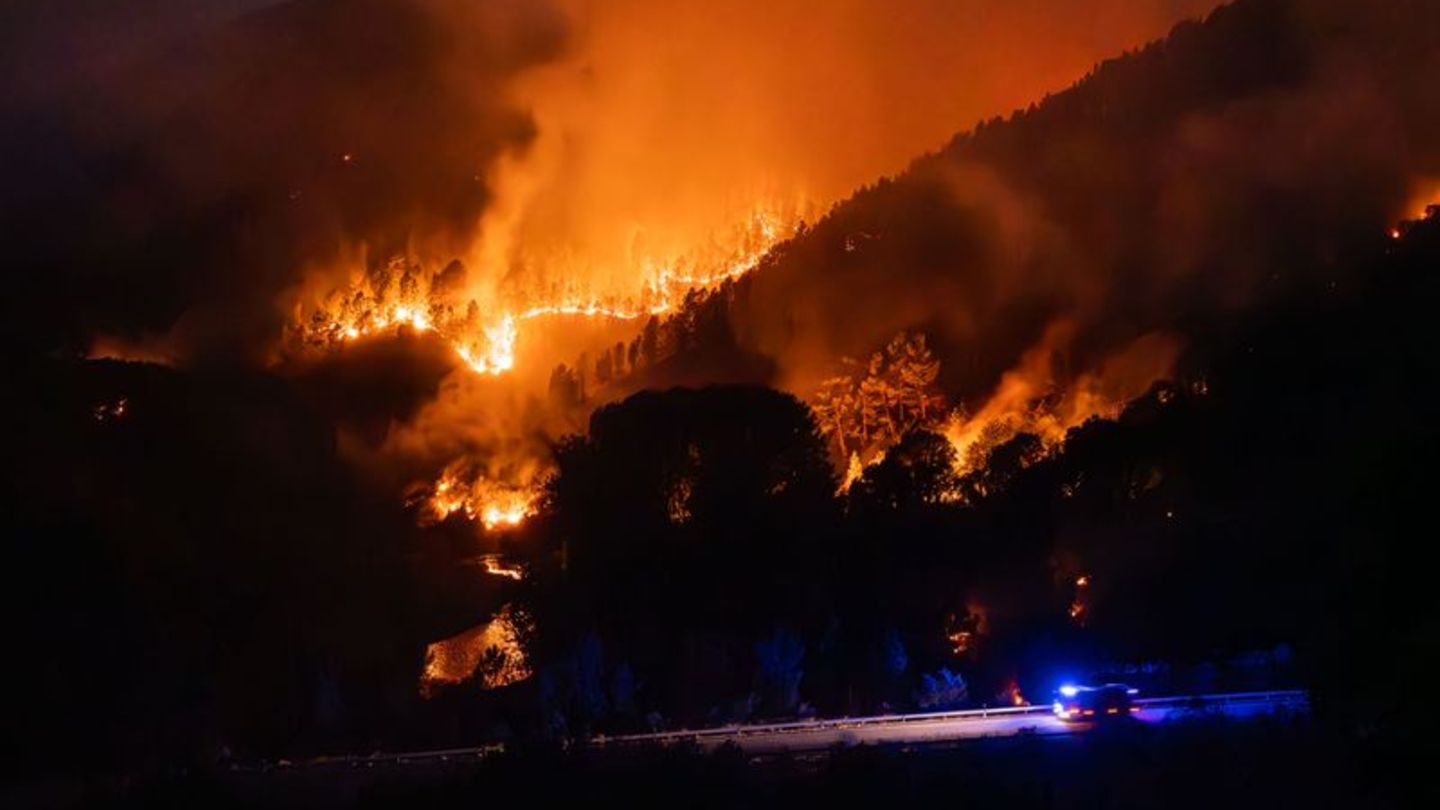 Ende August wüteten Waldbrände in Spanien. (Archivbild) Foto: Adrián Irago/EUROPA PRESS/dpa