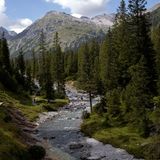 Junger Lech am Lechweg