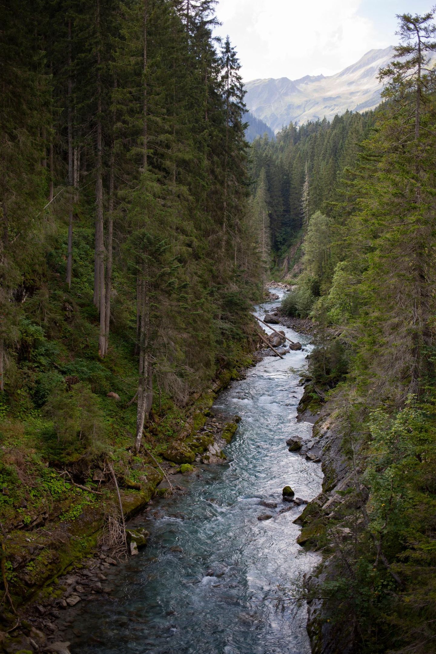 Steeg in Österreich