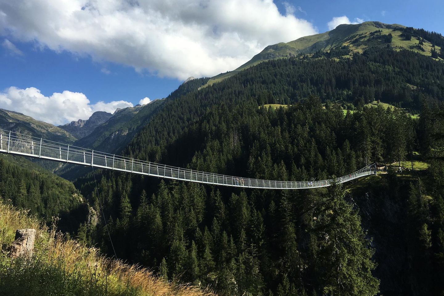 Hängebrücke über das Höhenbachtal