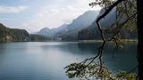 Alpsee