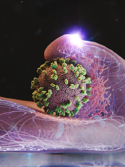 Influenza: Erstmals live gefilmt: Grippeviren dringen in eine lebende Zelle ein