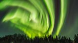 Spirale aus grünem Polarlicht über einer Schneelandschaft mit dunklen Bäumen