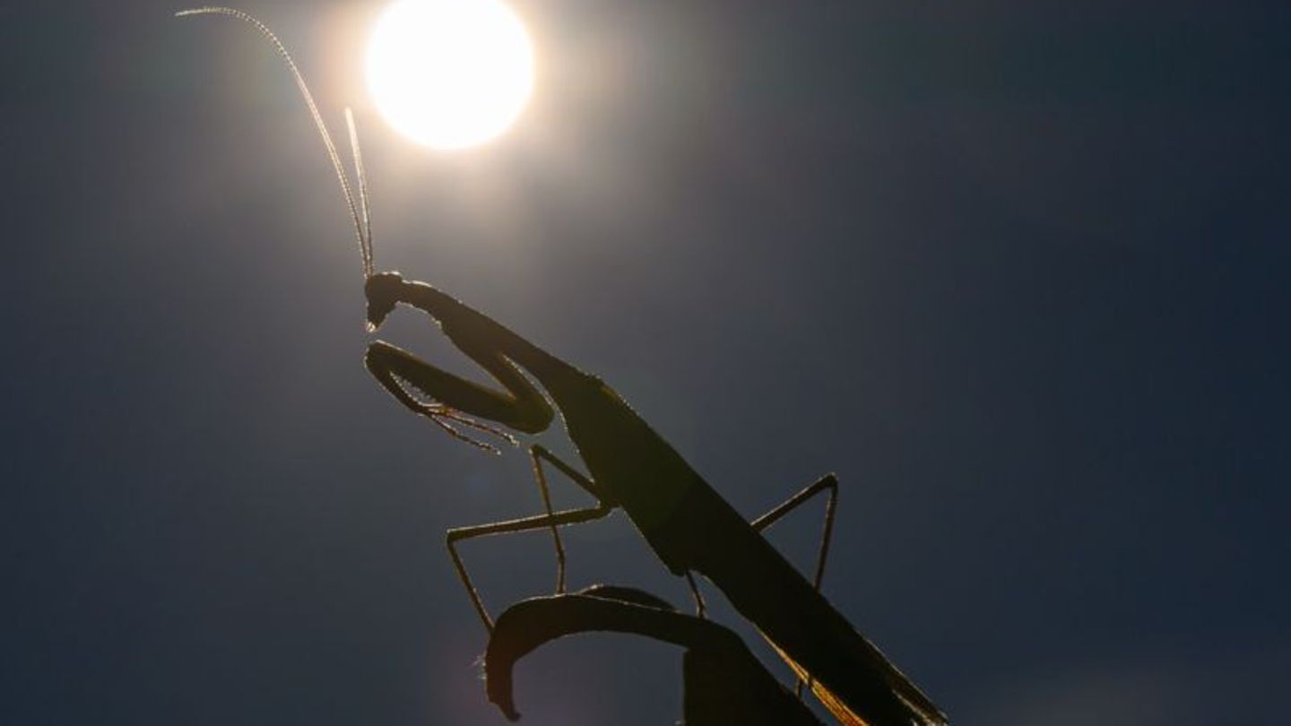 Vorl-ufige-Klimabilanz-2025-d-rfte-eines-der-drei-hei-esten-Jahre-werden