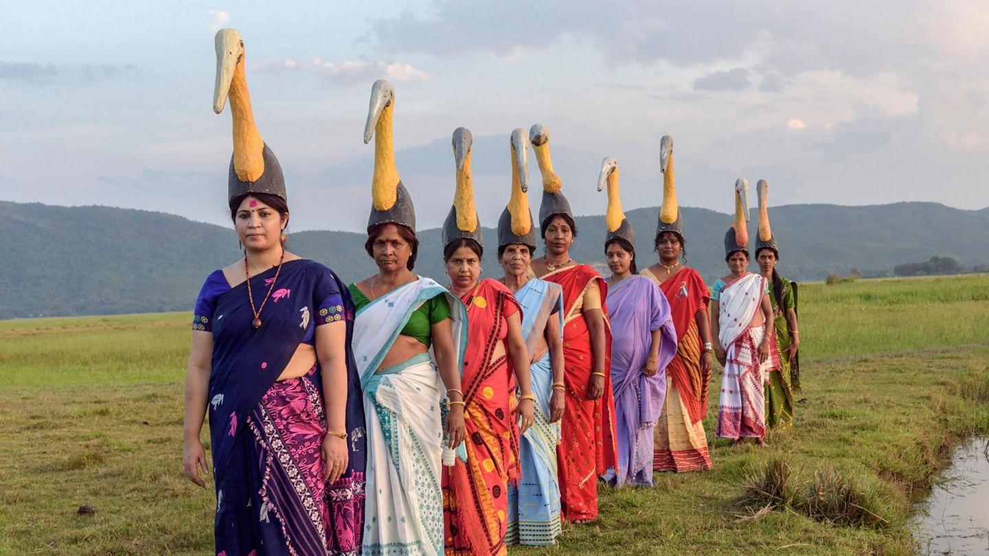 Indien-Die-Streitmacht-der-Marabus-Tausende-Frauen-k-mpfen-f-r-die-Rettung-eines-Vogels-GEOplus