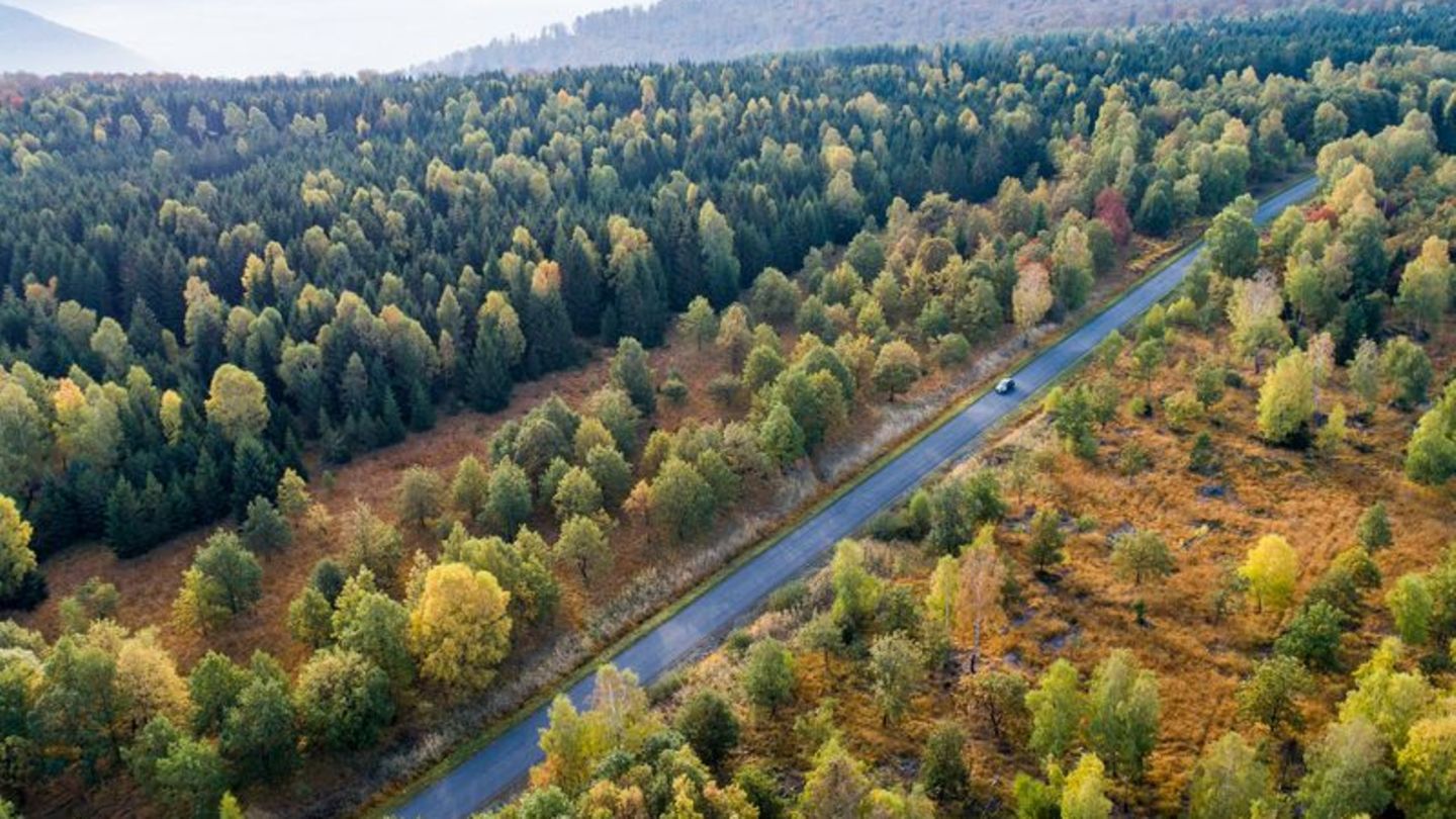 Die Forschenden empfehlen verschiedene Varianten, um das Klima zu schützen. (Symbolbild) Foto: Swen Pförtner/dpa
