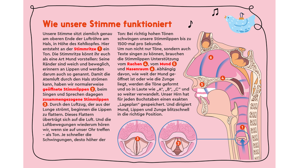 Körper: Und jetzt alle!