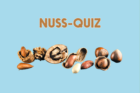 Was wisst ihr über Nüsse?