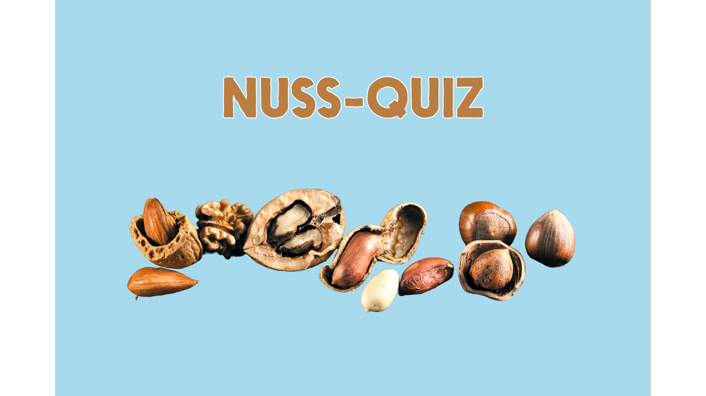 Was wisst ihr über Nüsse?