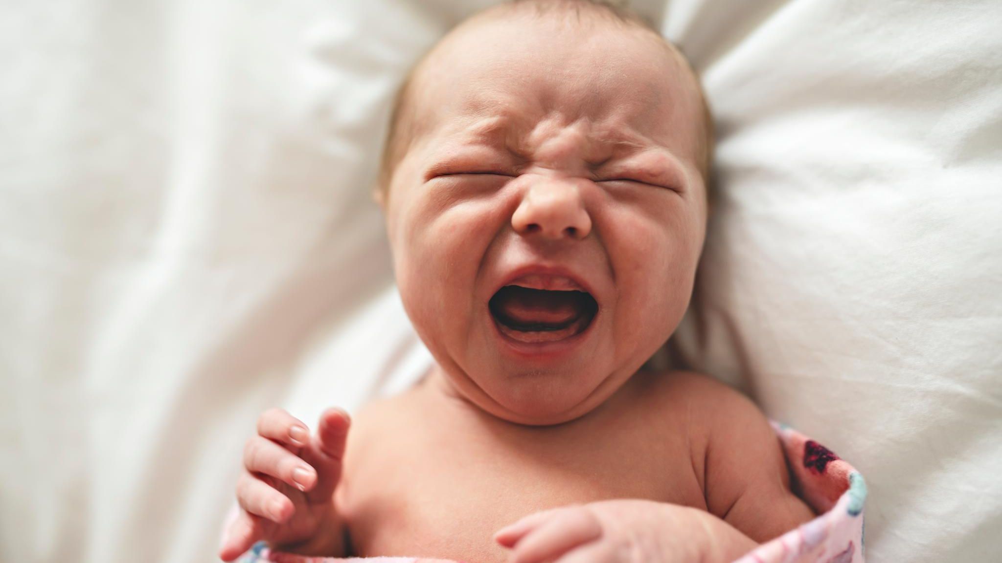 Gewickelt, gefüttert, gewiegt – und doch immerzu untröstlich: Etwa jedes zehnte Baby brüllt so exzessiv, dass es als Schreikind gilt