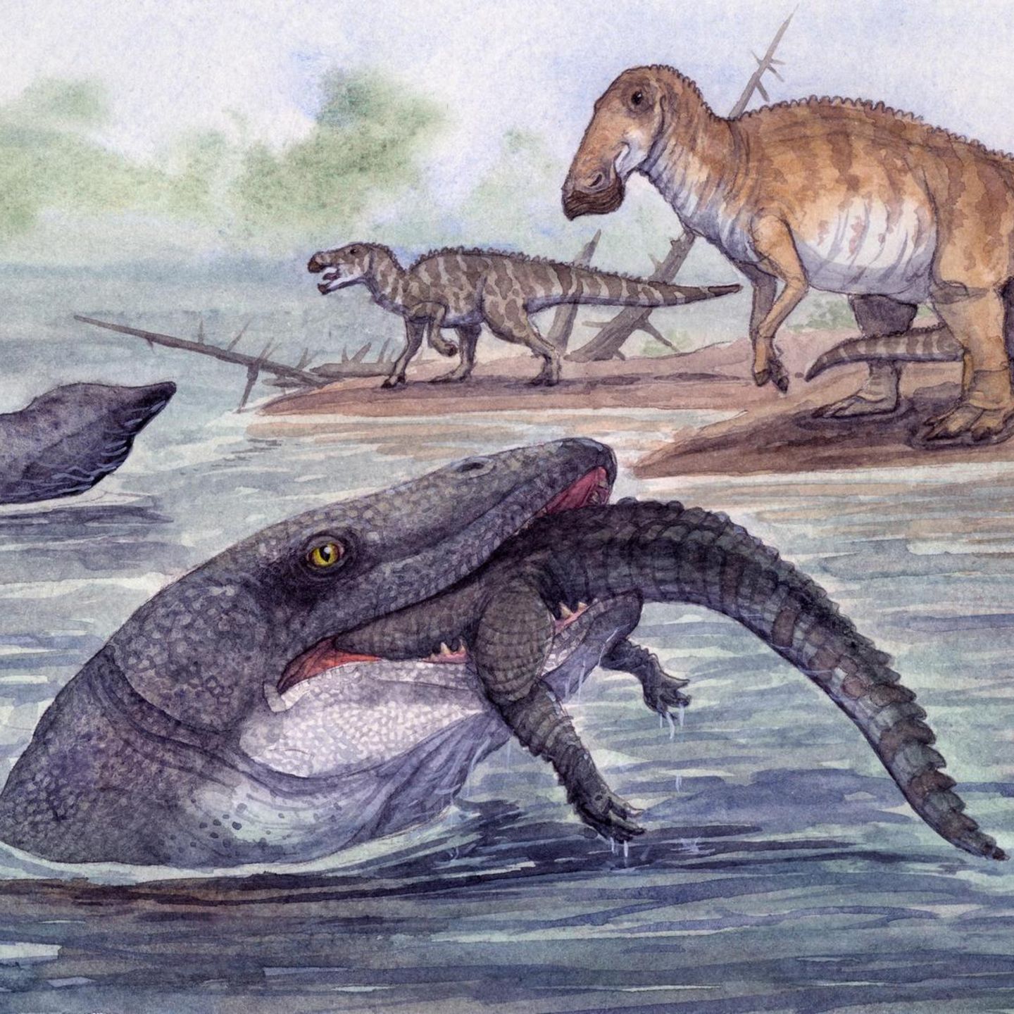 Er jagte Fische und Reptilien, schnappte Saurier und fraß Kadaver: der Mosasaurier