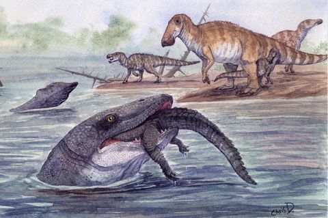 Er jagte Fische und Reptilien, schnappte Saurier und fraß Kadaver: der Mosasaurier