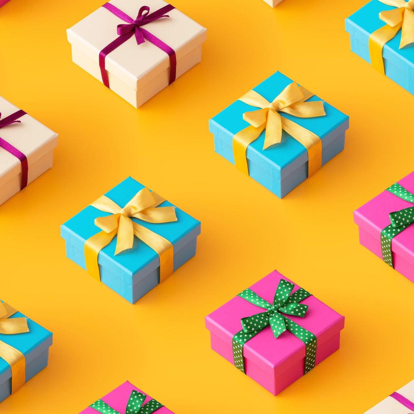 Geschenketipps der Redaktion