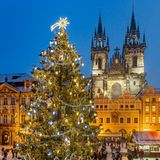 Prag mit Weihnachtsmarkt und Tanne