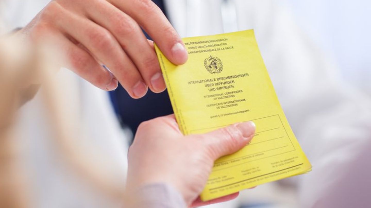 Reiseimpfungen sind eine gute Gelegenheit, auch Standardimpfungen aufzufrischen. Foto: Christin Klose/dpa-tmn