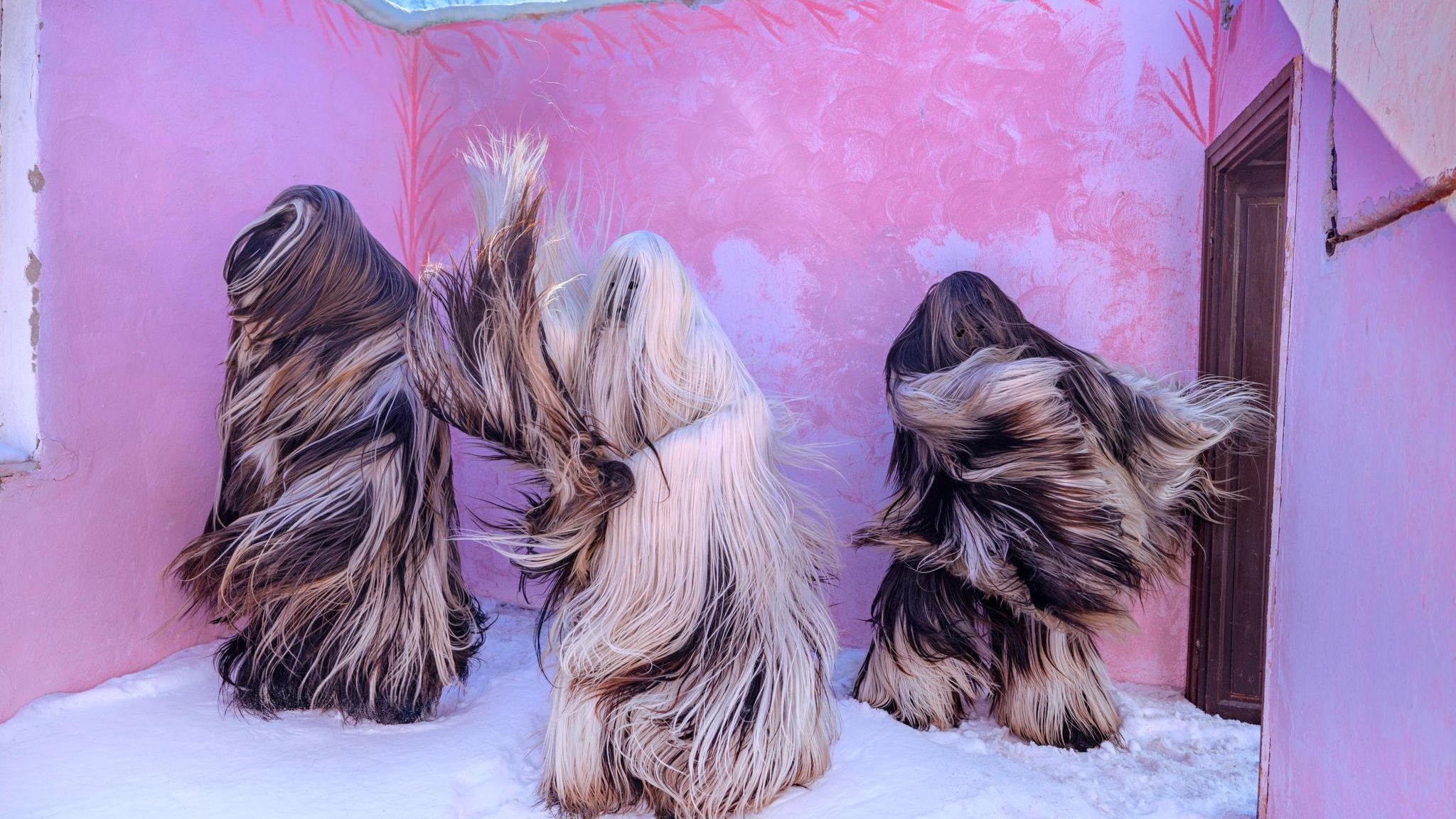 Drei haarige Gestalten