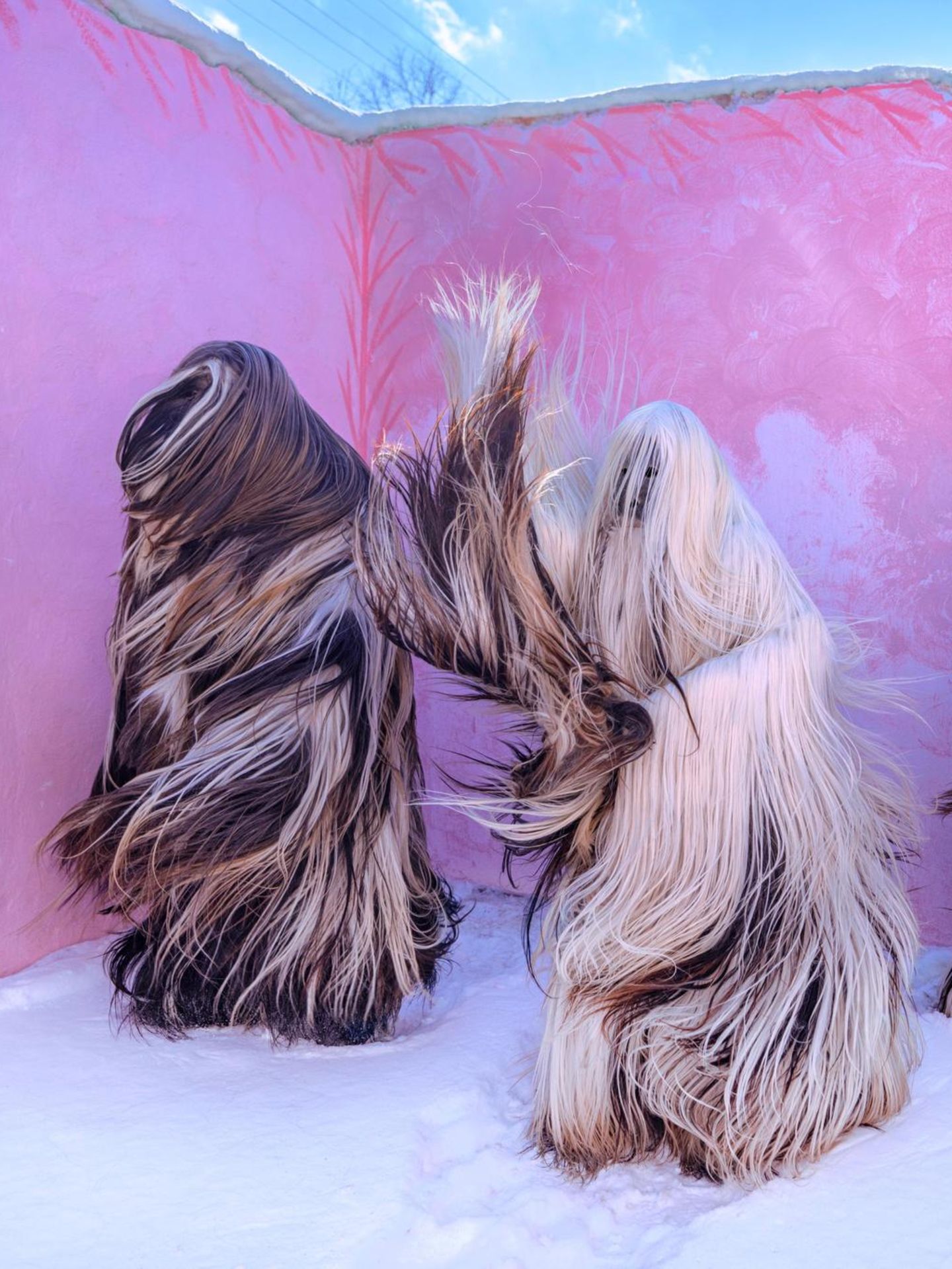 Drei haarige Gestalten