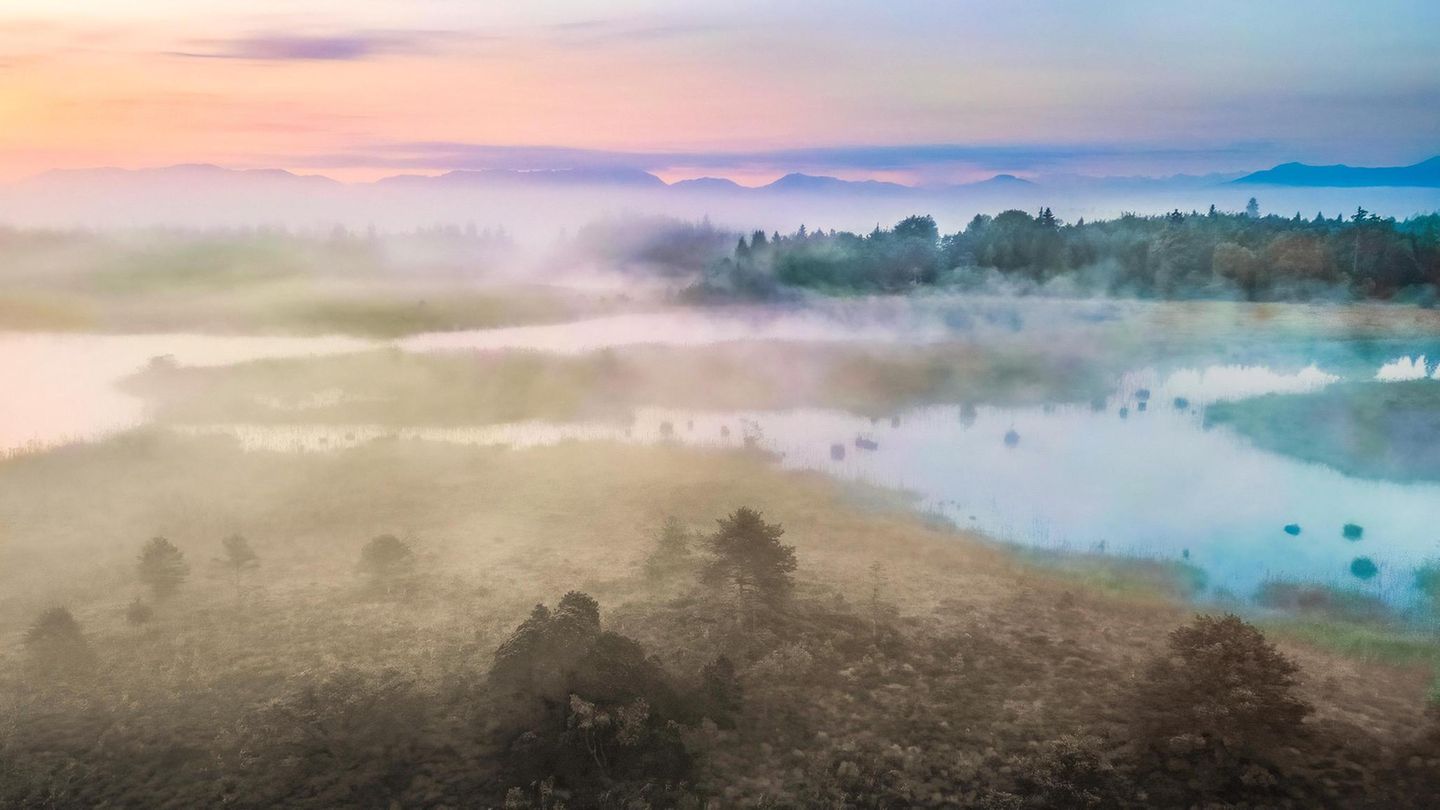 Comeback-der-Moore-Die-Rettung-einer-vergessenen-Landschaft-GEOplus