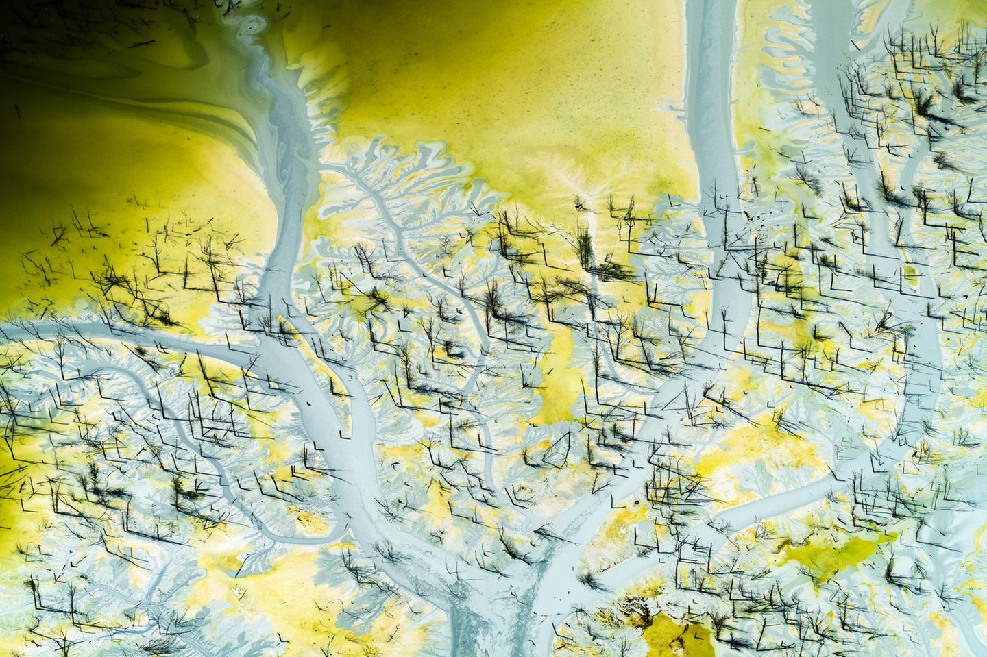 Phosphat ist einer von drei Makronährstoffen, die für das Pflanzenwachstum notwendig sind. Das Angebot ist begrenzt, und die Vorkommen befinden sich nur an wenigen Orten. Doch in der Umwelt – hier im County Jasper, Indiana – kann es große Schäden anrichten. Gelangt es von den Feldern in Bäche und Flüsse, verursacht es Algenblüten und Sauerstoffmangel. Und zerstört so ganze Ökosysteme.