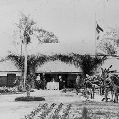 Haus zwischen Palmen