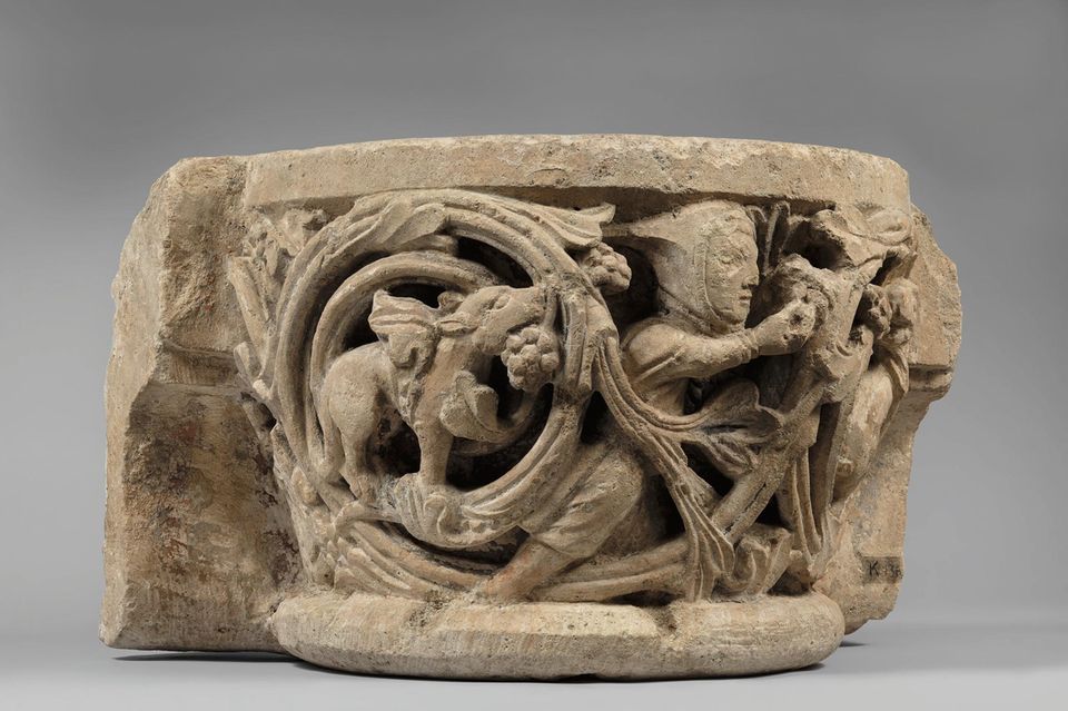 Tiere, die einen Mann umgeben