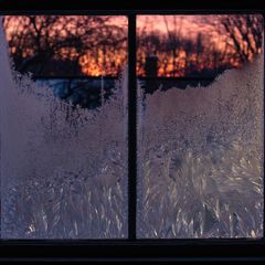 Wie gerahmte Kunstwerke erscheinen die gefrorenen ­Fenster auf Peter A. Jeschkes alter Farm im Osten der USA. Das Licht der ­aufgehenden Sonne bricht sich in den Kristallstrukturen