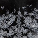 "Welche Wunder brechen hervor in klirrendem Eise!", schwärmte  Philosoph Theodor Lessing beim Anblick seiner gefrorenen Fenster: "Andeutungen aller unter dem Schnee begrabenen Gestalten"