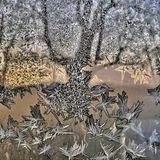 Zwischen Kristall und Kondenswasser klaffen mitunter Lücken, die den klaren Blick durch das Fenster erlauben. In dieser Übergangszone ist dem Eis das Baumaterial ausgegangen: Die Wassermoleküle in der Flüssigkeit sind für den Moment noch in unerreichbarer Ferne