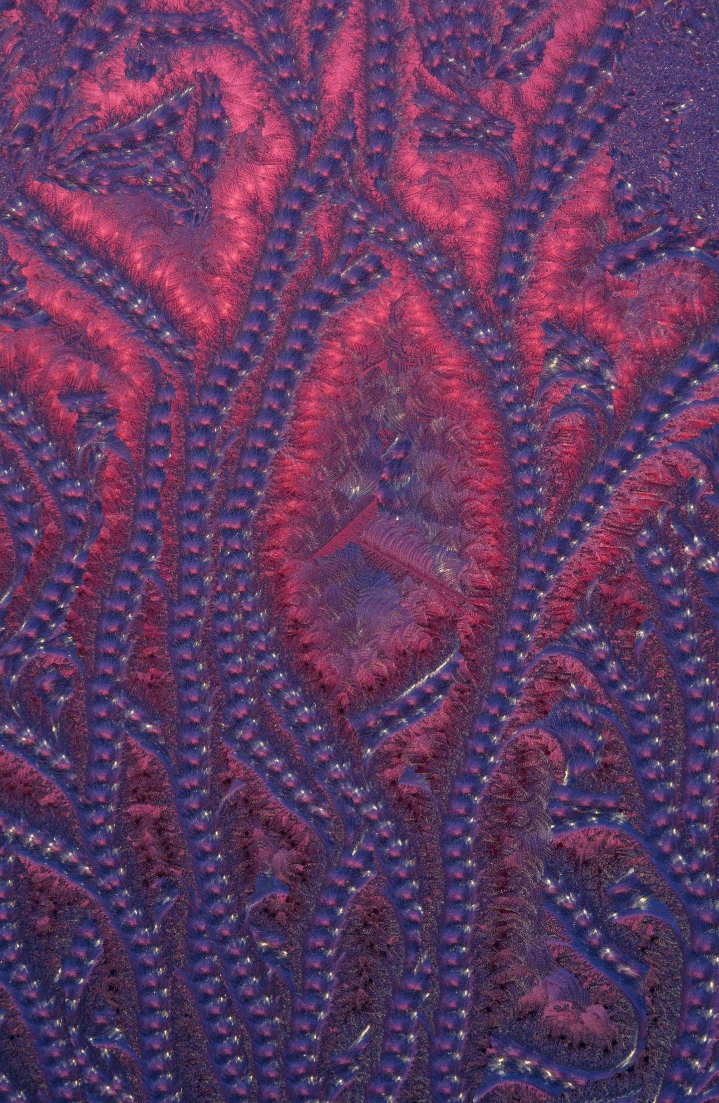 Zwischen den gefrorenen Tropfen sind zartere Strukturen gewachsen. Der Sonnenaufgang taucht das Muster in Pink und Lila