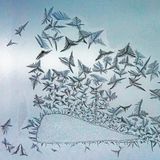 Diese Komposition erinnert an Raben, die von einem schneebedeckten Acker auffliegen. Oder an einen auftauchenden Wal, um den sich Möwen scharen?