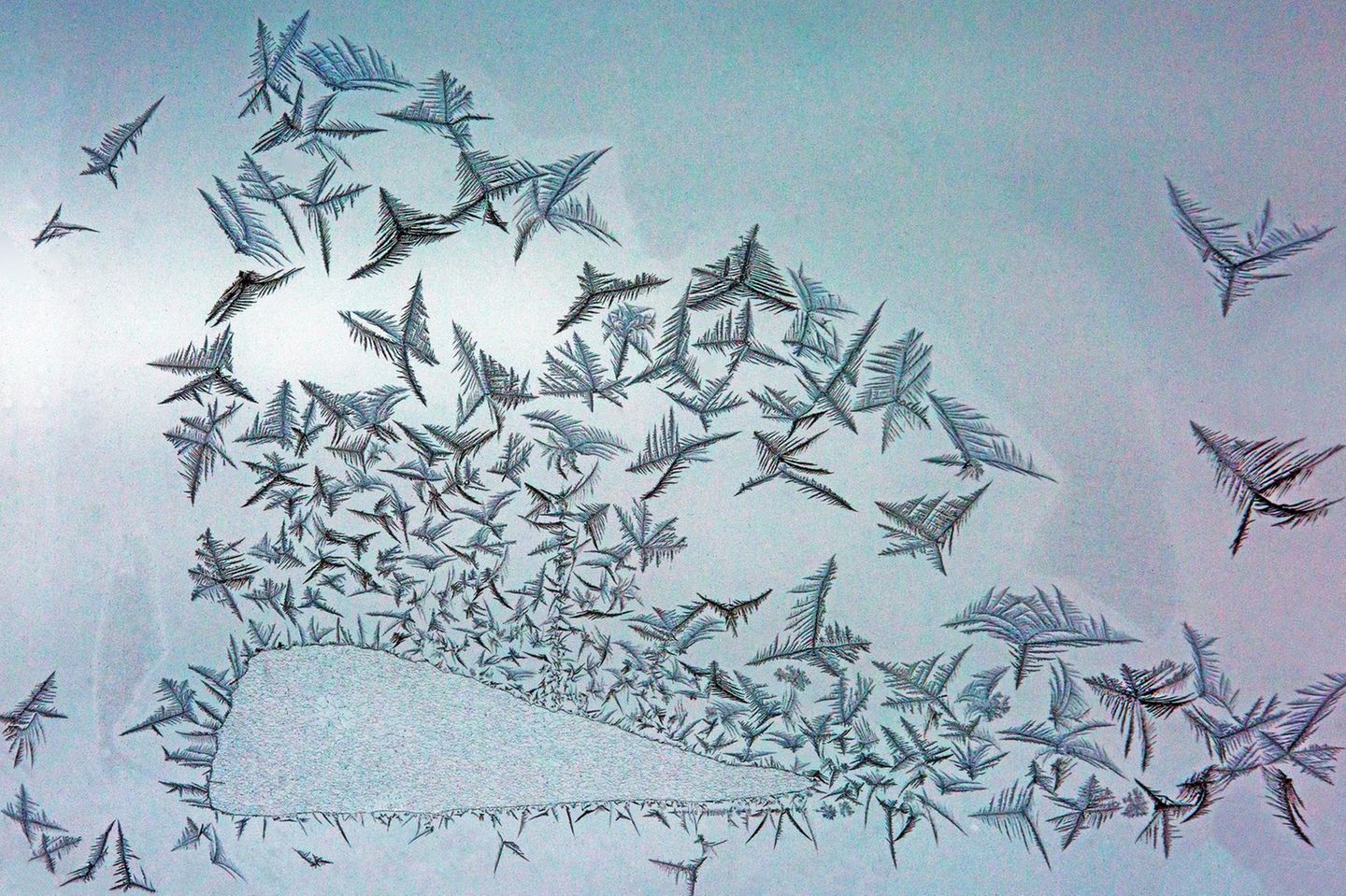 Diese Komposition erinnert an Raben, die von einem schneebedeckten Acker auffliegen. Oder an einen auftauchenden Wal, um den sich Möwen scharen?