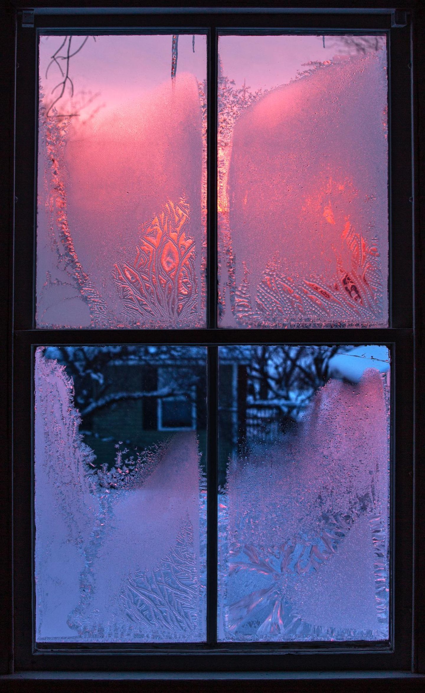 Zunächst konzentrierte sich Jeschke auf immer feinere Details. Heute rückt er oft das ganze Fenster in den Fokus, um zu zeigen: Die Natur ist eine Künstlerin, die Scheiben sind ihre Leinwand