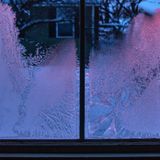 Zunächst konzentrierte sich Jeschke auf immer feinere Details. Heute rückt er oft das ganze Fenster in den Fokus, um zu zeigen: Die Natur ist eine Künstlerin, die Scheiben sind ihre Leinwand