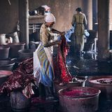 59 Altine Koulibaly spült Damast Stoff nach dem Färben aus