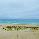 Huch, sieht gar nicht aus wie Norwegen? Mit seinen rund fünf Kilometern Länge ist der Orrestranda bei Jæren der längste Sandstrand Norwegens und bietet eine für das Land ungewöhnlich weite, offene Küstenlandschaft. Feiner, heller Sand, das sanfte Rauschen der Nordsee und ein Himmel, der an klaren Tagen in den schönsten Blautönen leuchtet: Hier fühlt man sich fast wie im Süden – wäre da nicht die wohltuende Frische der norwegischen Brise. Im Sommer kommen Badegäste, Sonnenanbeter und Surfende ebenso auf ihre Kosten wie Wanderer und Spaziergänger, die die weite Dünenlandschaft und das Spiel der Wellen genießen. Wer Lust auf mehr Hintergrund hat, sollte das Naturhaus am Orrestrand, das Friluftshus, besuchen. Das Besucherzentrum ist nicht nur Ausgangspunkt für Wanderungen und andere Outdoor-Aktivitäten, sondern auch ein lebendiger Treffpunkt für Kultur und Umweltbewusstsein: Hier finden Kunstausstellungen, Konzerte und Vorträge statt, zudem gibt es im kleinen Café regionale Leckereien. Das Naturhaus ist eine der Stationen entlang der malerischen Norwegischen Landschaftsroute Jæren, die sich entlang der Westküste zieht.