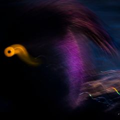 Lange träumte der junge Naturfotograf Luca Lorenz davon, die goldgelben Augen von Reiherenten in einem besonderen Vogelporträt in Szene zu setzen. Aber die Tiere sind scheu und tauchen oft blitzschnell im Wasser ab. An einem See in Berlin gelang Lorenz schließlich in einer Langzeitbelichtung diese verspielte Komposition.      