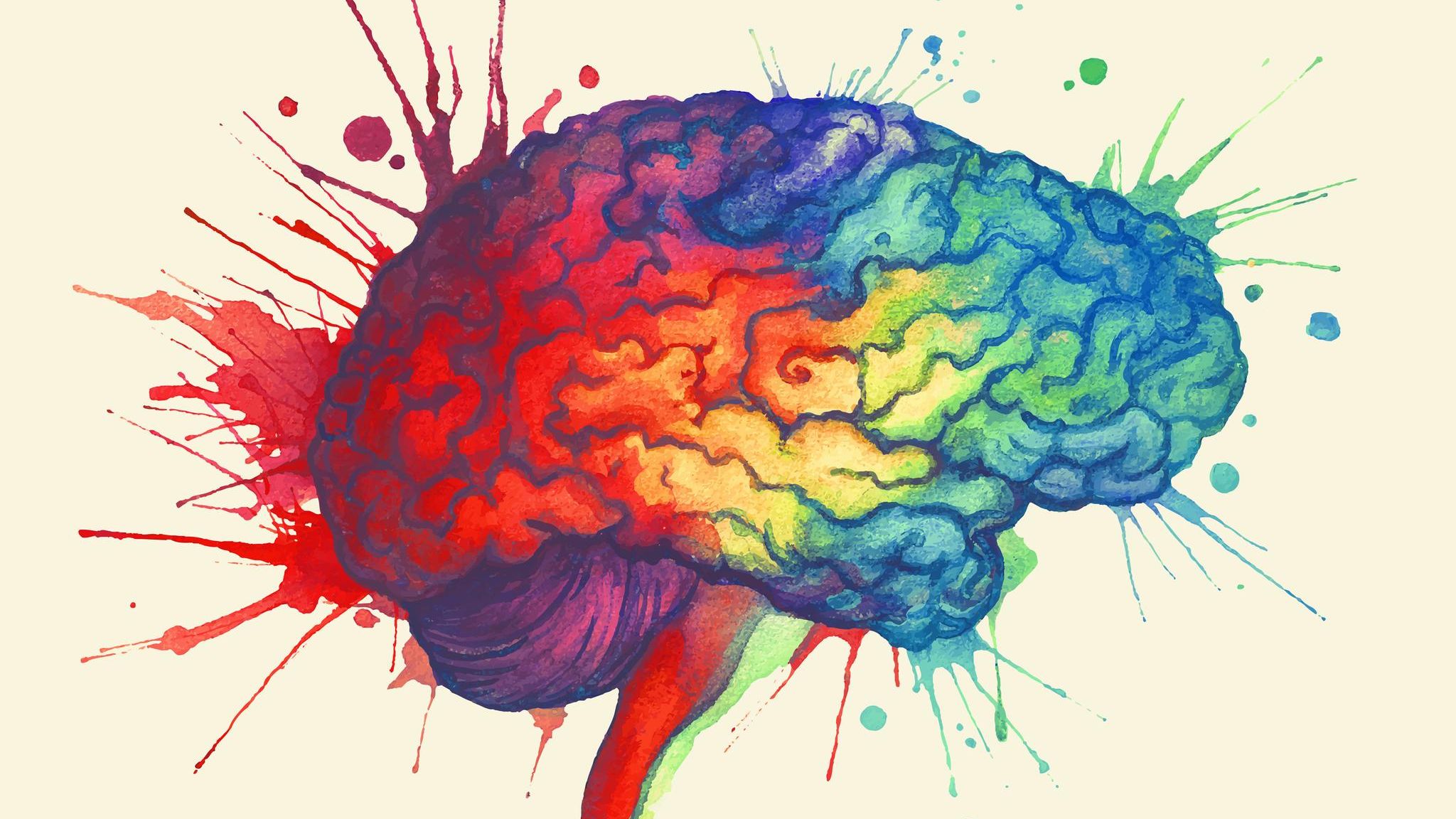 bunte Zeichnung eines kreativen Gehirns
