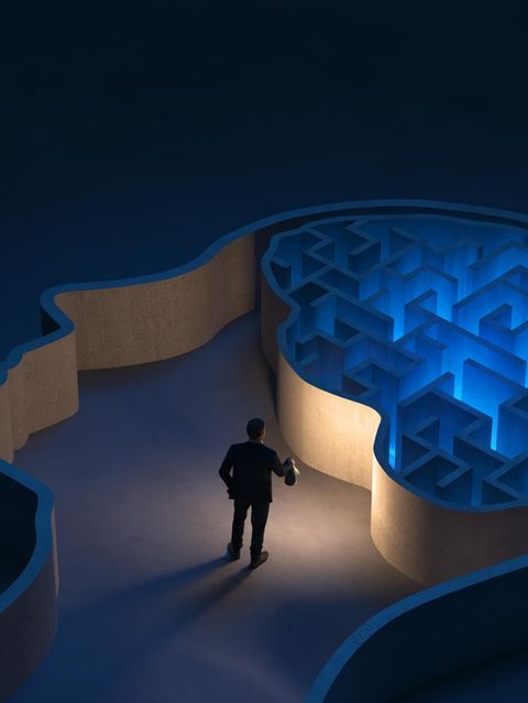 Auf der Suche nach Lösungen im menschlichen Gehirn