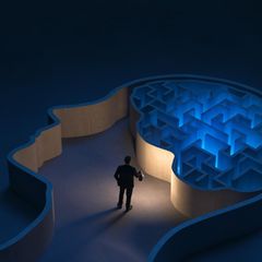 Auf der Suche nach Lösungen im menschlichen Gehirn