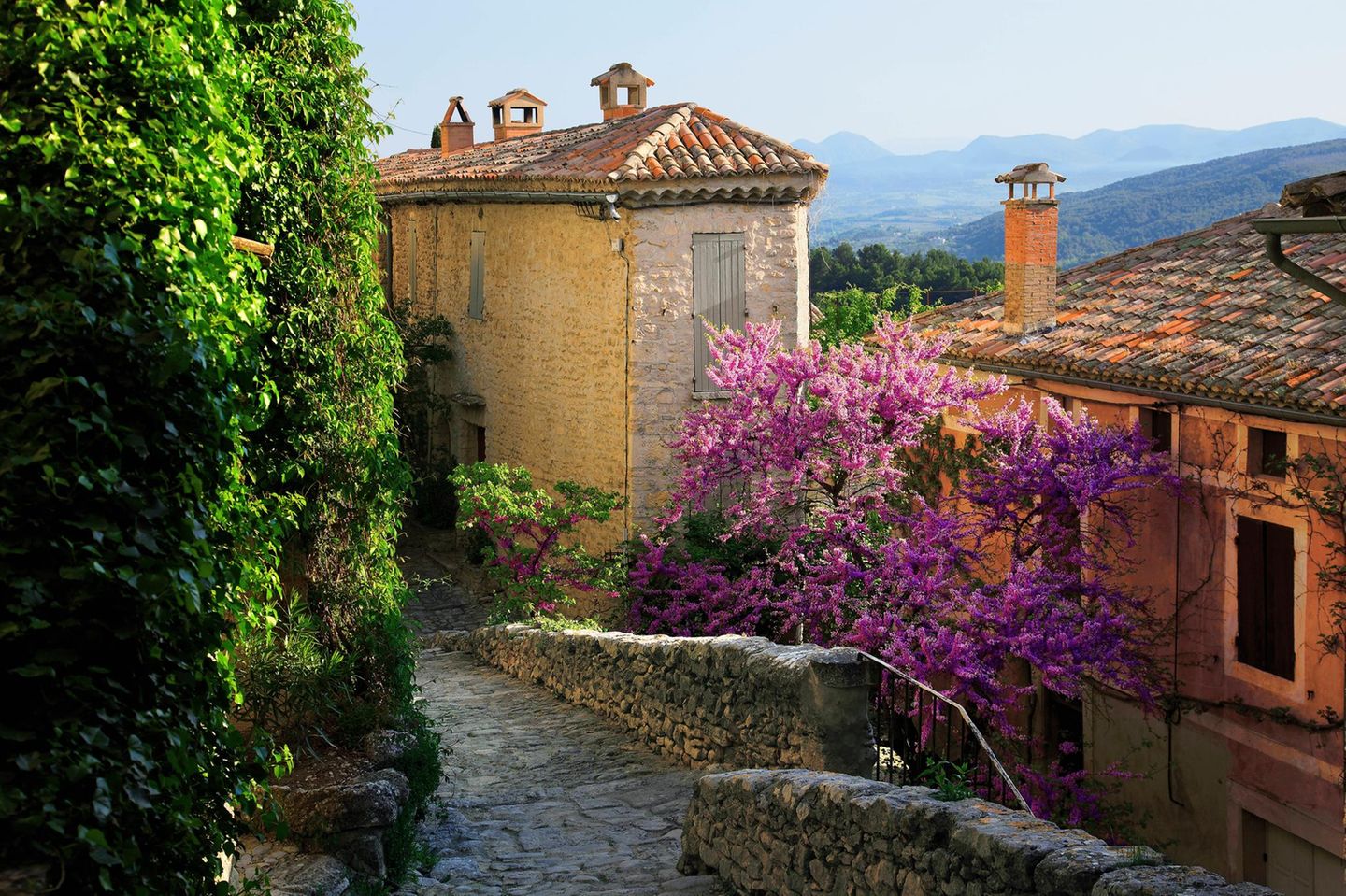 Gasse it Pflanzen in Le Crestet