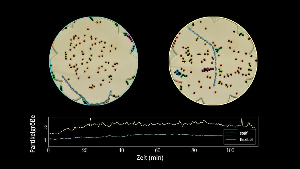Roboter imitieren die Würmer – und räumen ebenfalls auf