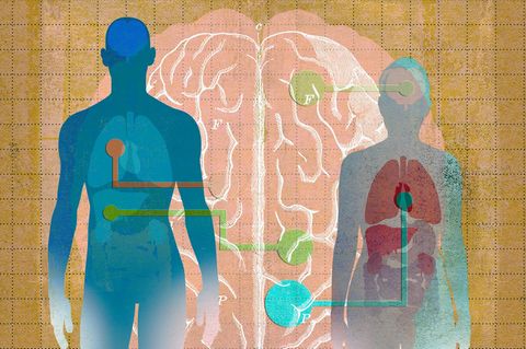 Illustration: Zwei menschliche Silhouetten mit Verbindungen zu einem Gehirn